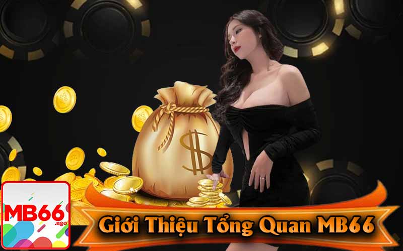 Giới Thiệu Tổng Quan