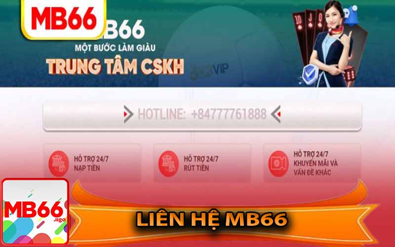 Liên Hệ MB66