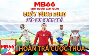 Hoàn Trả Cược Thua